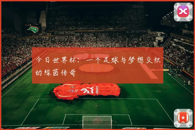 今日世界杯：一个足球与梦想交织的绿茵传奇
