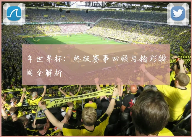 年世界杯:终极赛事回顾与精彩瞬间全解析