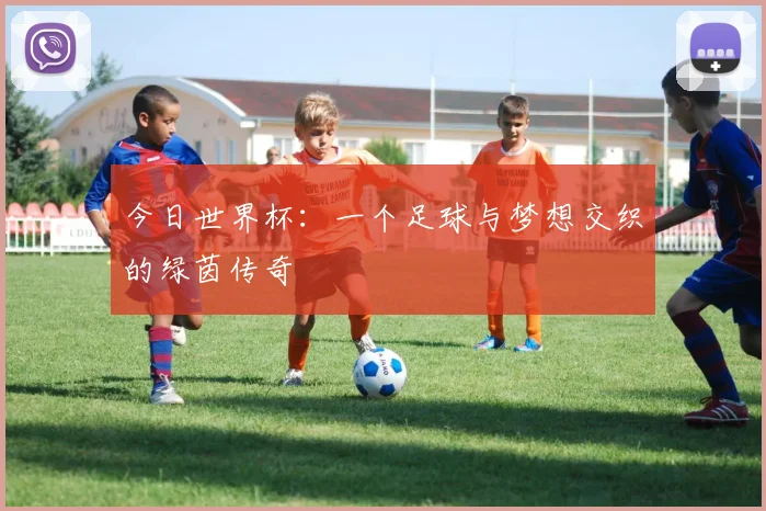 今日世界杯：一个足球与梦想交织的绿茵传奇